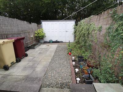 Picture 8